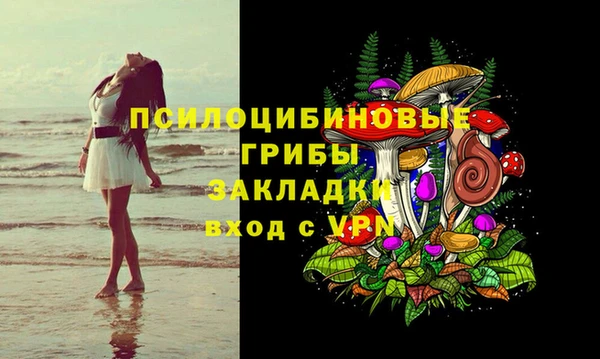 ГАЛЛЮЦИНОГЕННЫЕ ГРИБЫ Алексин