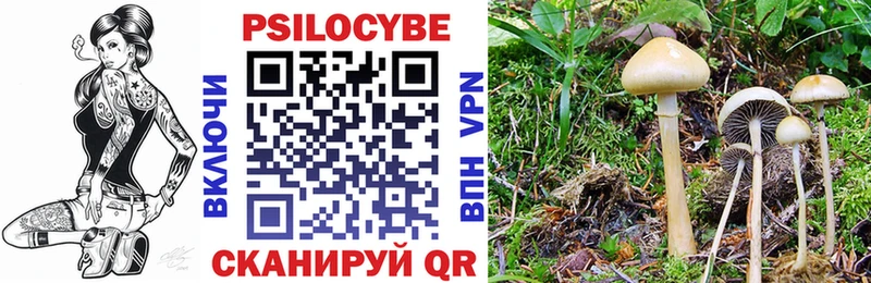 Галлюциногенные грибы Cubensis Нестеров